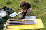 Sampling of vertical soil cores in Germany to estimate carbon and nitrogen profiles and land surface subsidence