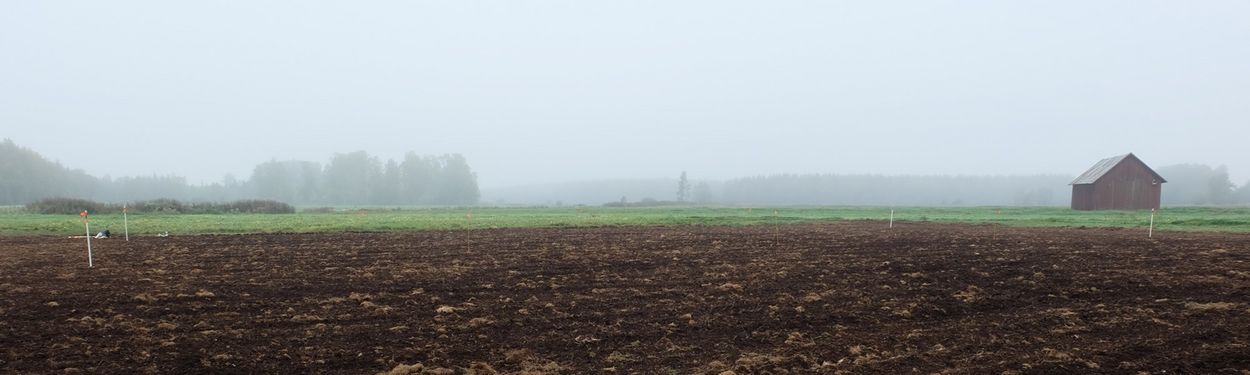 Farming on organic soils in Sweden