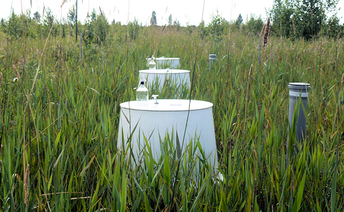 Greenhouse gas measurement during growth period next to groundwater monitoring well