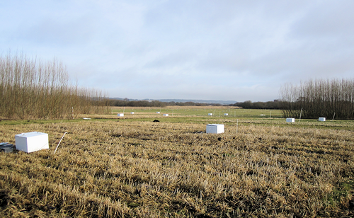 Greenhouse gas measurement after harvest