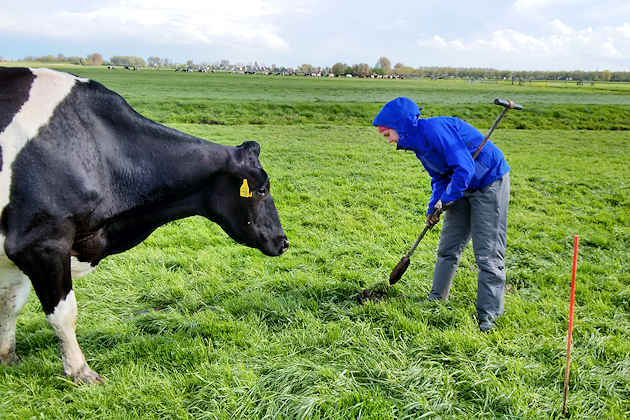 Preparation of permanent ground water level observation wells in the Netherlands