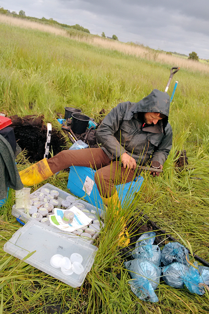 Extraction of undisturbed soil core for soil physical analysis in Denmark