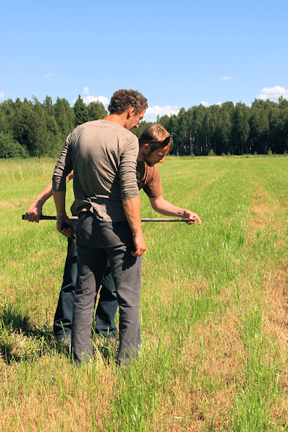 Soil probing on grassland sites in Finland to estimate peat layer thickness